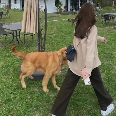 南极穿越